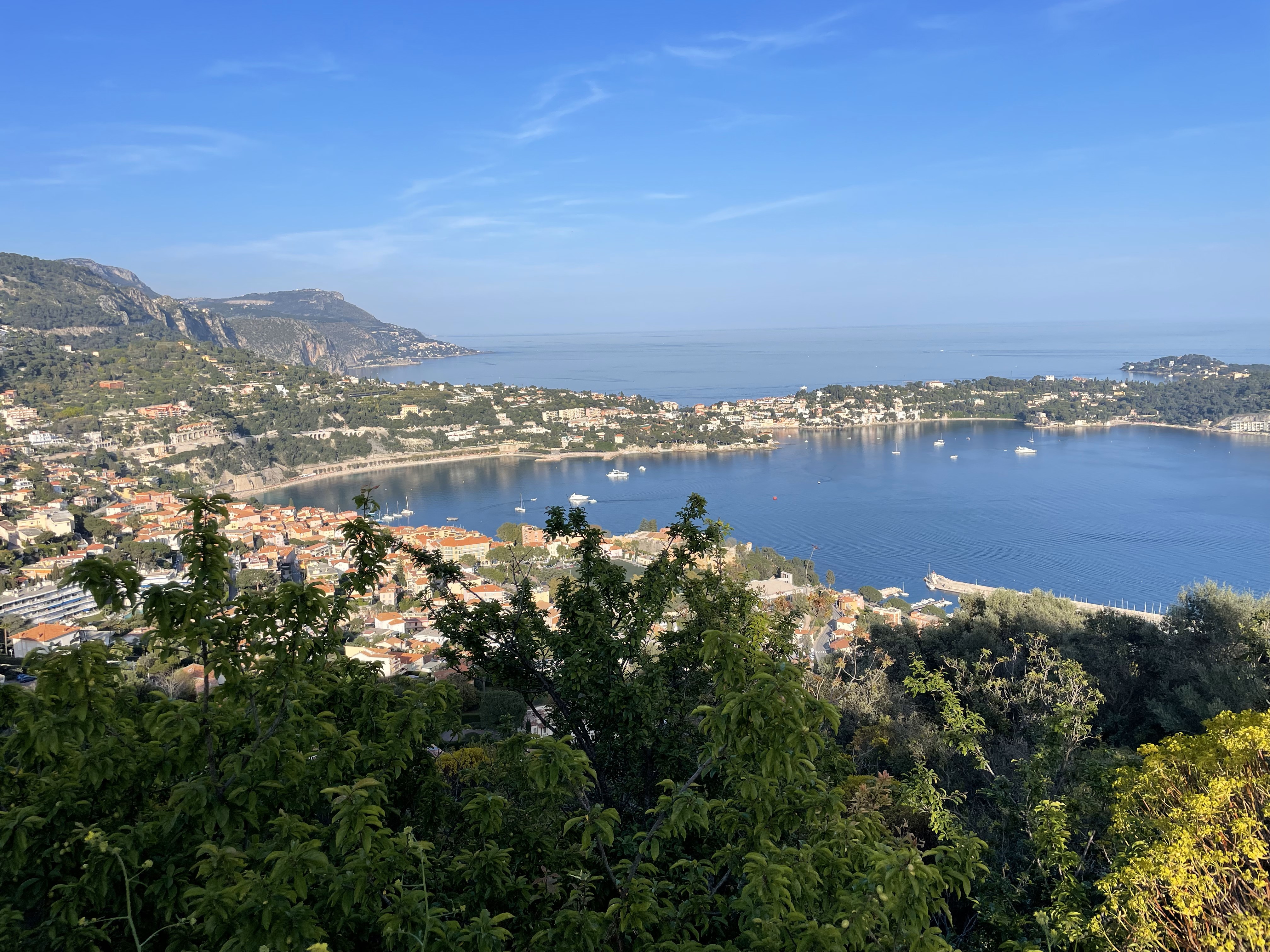 Cannes La Croisette boulevard with Palais des Festivals and luxury hotels