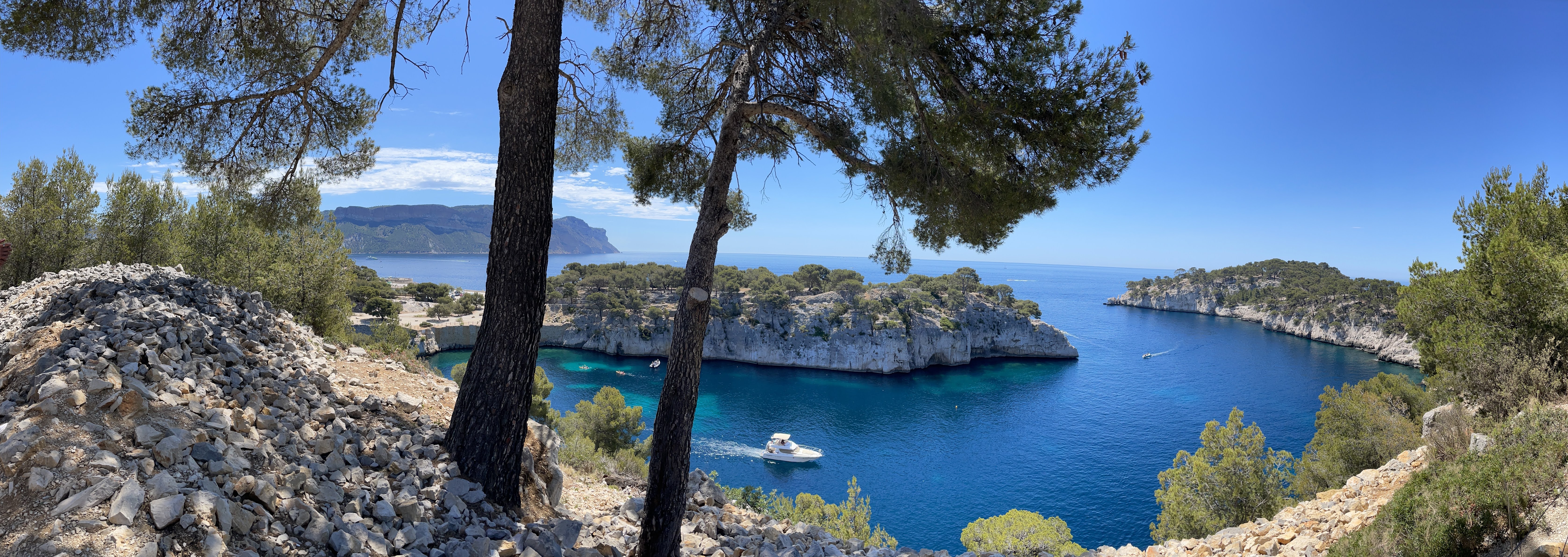 Monaco harbor with luxury yachts and modern architecture